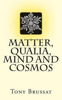 bokomslag Matter, Qualia, Mind and Cosmos