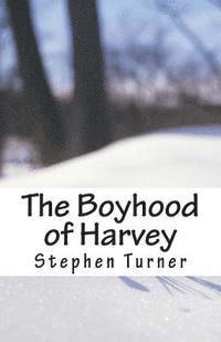 Stephen Turner - The Boyhood of Harvey, Häftad