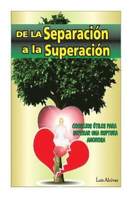 bokomslag De la Separacion a la Superacion