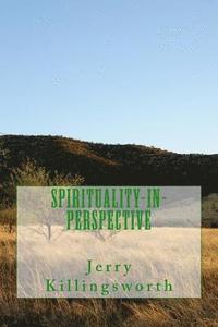 bokomslag Spirituality-in-Perspective