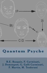 bokomslag Quantum Psyche