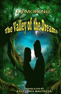 bokomslag The valley of the dreams