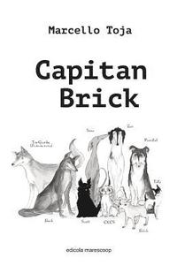 bokomslag Capitan Brick