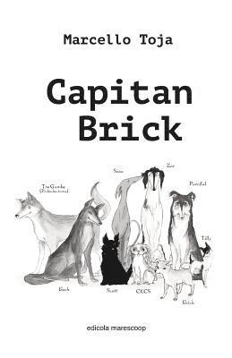 Capitan Brick 1