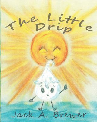 bokomslag Little Drip