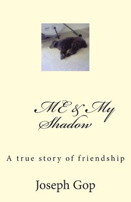 Me & My Shadow: A true story of friendship 1