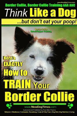 Border Collie, Border Collie Training AAA AKC 1