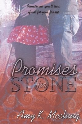 bokomslag Promises In Stone