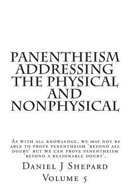 bokomslag Panentheism Addressing the Physical and nonPhysical