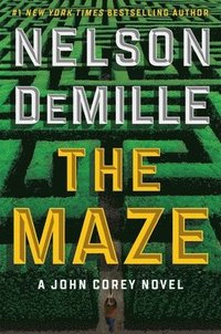 bokomslag The Maze