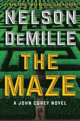 bokomslag The Maze