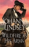 bokomslag Wildfire in His Arms