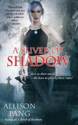 A Sliver of Shadow 1