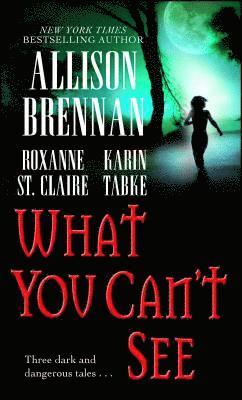 Allison Brennan, Karin Tabke, Roxanne St Claire - What You Can't See, Häftad