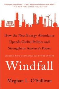 bokomslag Windfall: How the New Energy Abundance Upends Global Politics and Strengthens America's Power