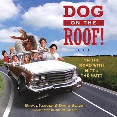 bokomslag Dog on the Roof!