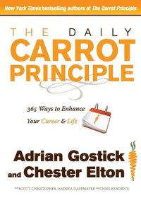 bokomslag Daily Carrot Principle