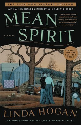 Linda Hogan - Mean Spirit, Häftad
