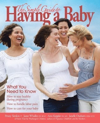 bokomslag The Simple Guide to Having a Baby (2016): What You Need to Know