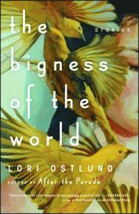 bokomslag The Bigness of the World