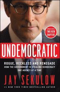 bokomslag Undemocratic: Rogue, Reckless and Renegade: How the Government Is Stealing Democracy One Agency at a Time