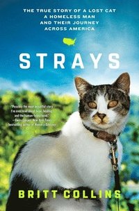 bokomslag Strays: The True Story of a Lost Cat, a Homeless Man, and Their Journey Across America