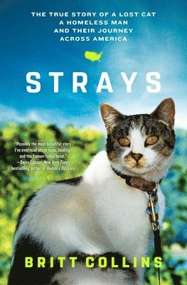 bokomslag Strays: The True Story of a Lost Cat, a Homeless Man, and Their Journey Across America