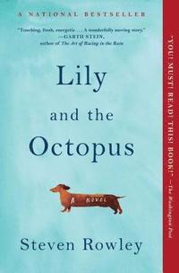 bokomslag Lily and the Octopus