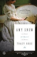 bokomslag Amy Snow