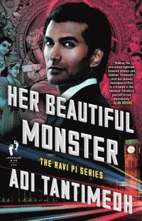 bokomslag Her Beautiful Monster: The Ravi Pi Seriesvolume 2