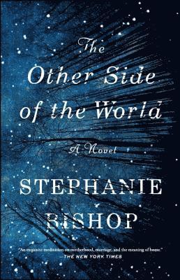 The Other Side of the World