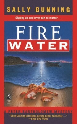 bokomslag Fire Water