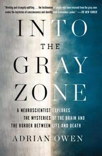 bokomslag Into the Gray Zone: A Neuroscientist Explores the Mysteries of the Brain and the Border Between Life and Death