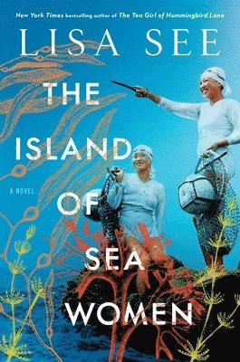 bokomslag The Island of Sea Women