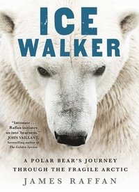 bokomslag Raffan, J: Ice Walker