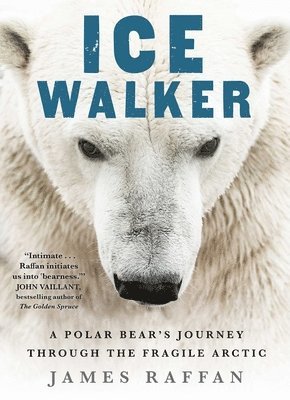 bokomslag Raffan, J: Ice Walker