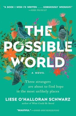 The Possible World 1