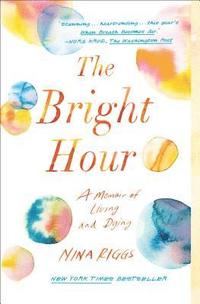 bokomslag Bright Hour