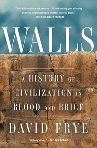 bokomslag Walls: A History of Civilization in Blood and Brick