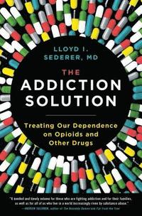 bokomslag Addiction Solution