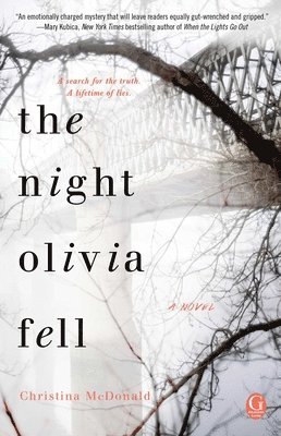bokomslag The Night Olivia Fell