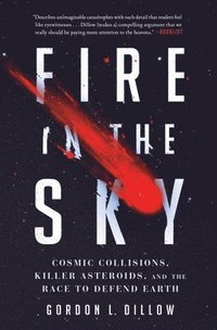 bokomslag Fire in the Sky: Cosmic Collisions, Killer Asteroids, and the Race to Defend Earth