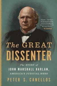 bokomslag Great Dissenter