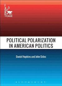 bokomslag Political Polarization in American Politics