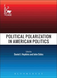 bokomslag Political Polarization in American Politics