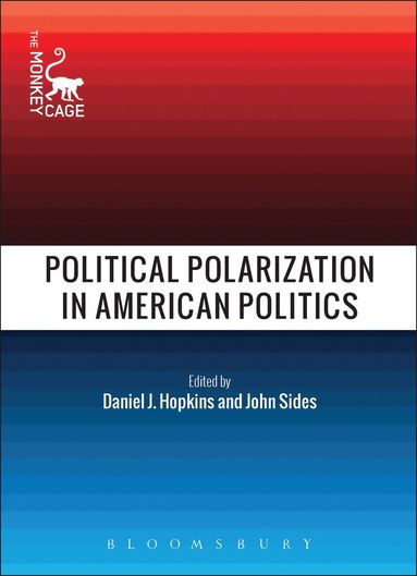 bokomslag Political Polarization in American Politics