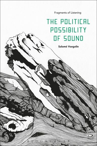 bokomslag Political Possibility of Sound