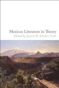 bokomslag Mexican Literature in Theory