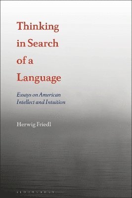 Thinking in Search of a Language 1