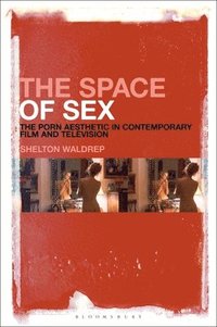 bokomslag The Space of Sex